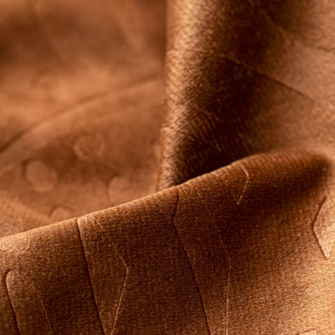 Rideau obscurcissant velours (140 x 240 cm) Fern Camel