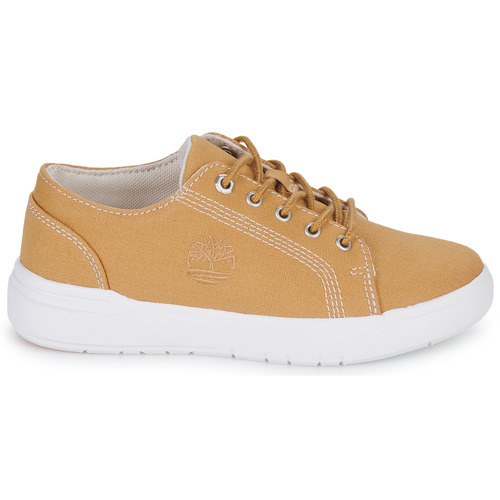 Timberland - SENECA BAY FABRIC OX - Beige / Blanc