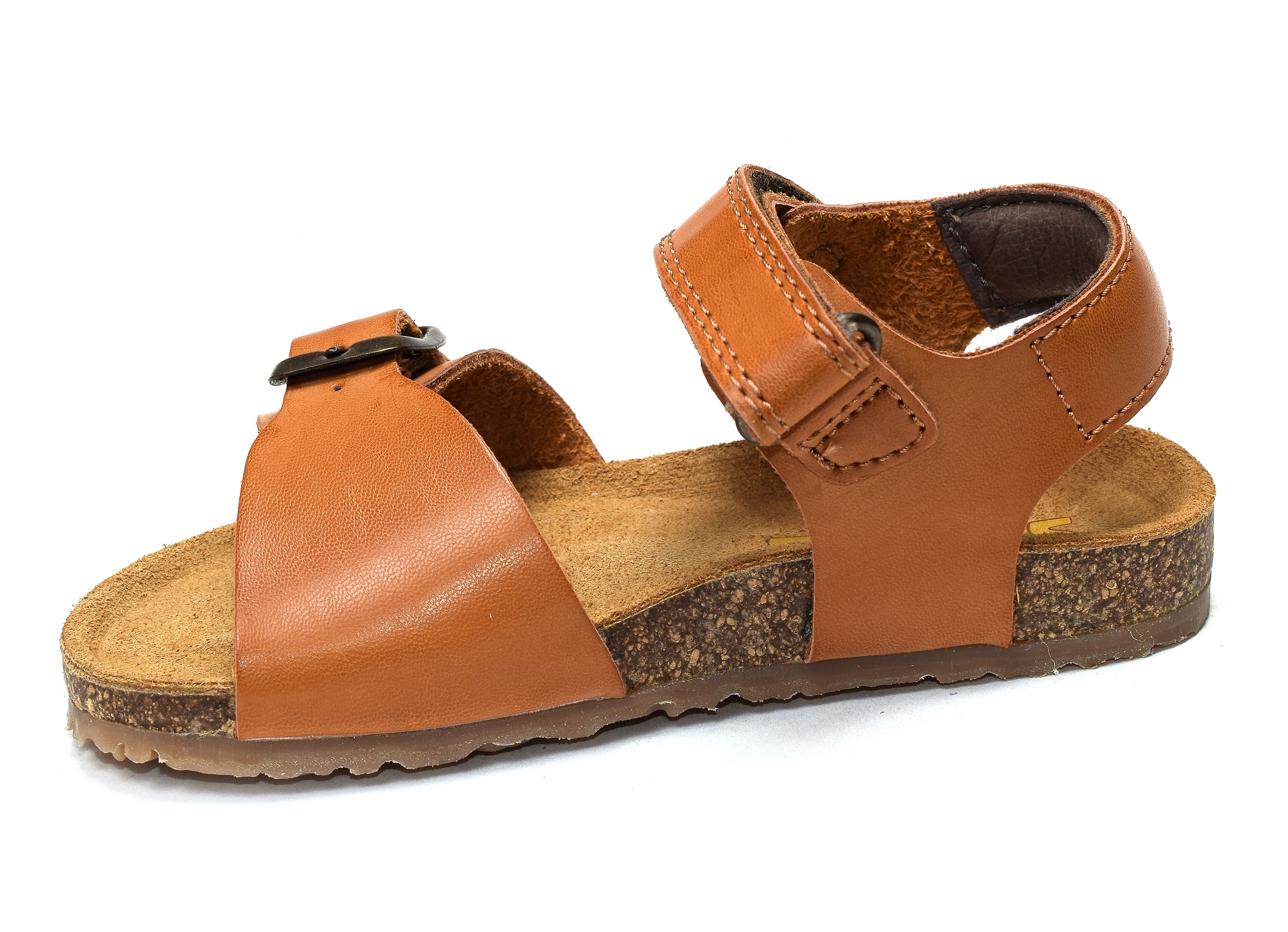 Lindo camel