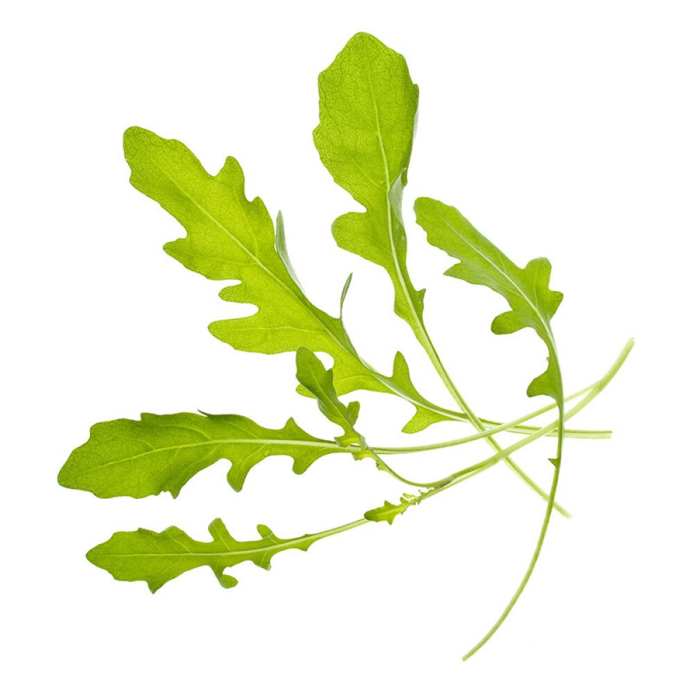 TREGREN FRØKAPSLER RUCCOLA 2 STK