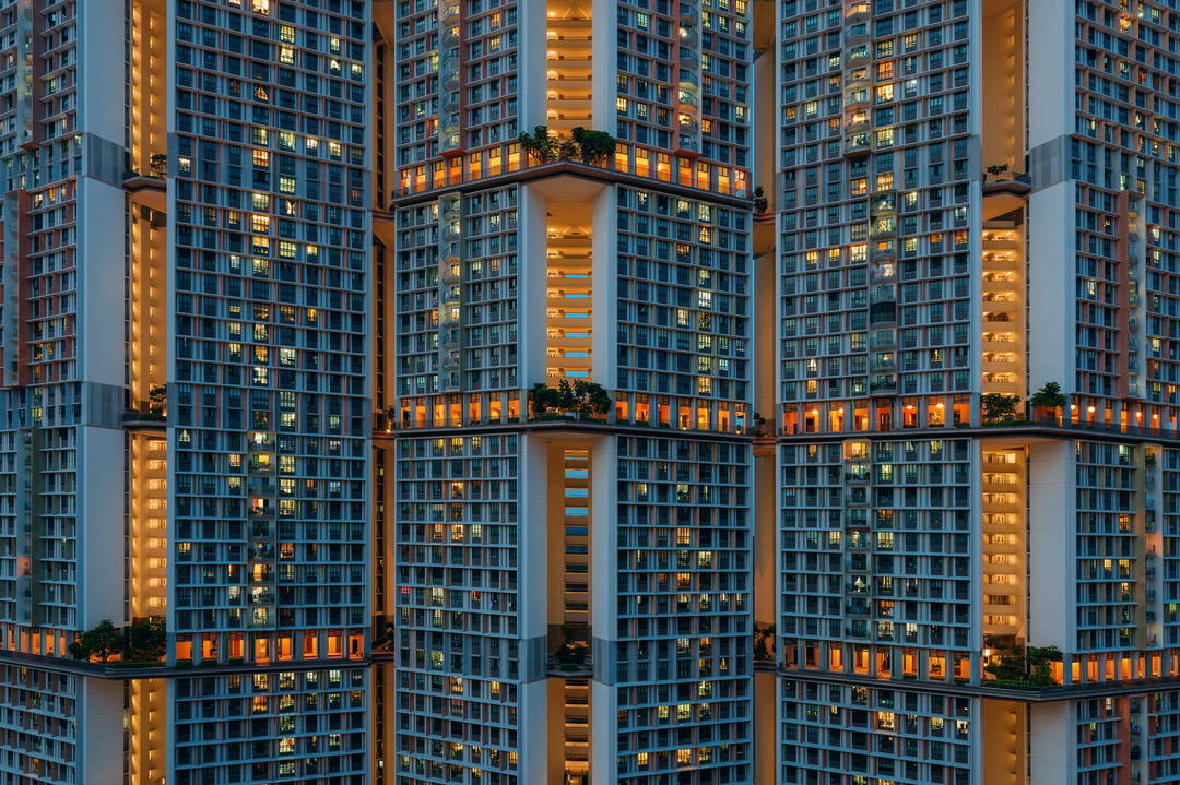 Cells Interlinked by Peter Stewart - Limited Edition. Edition of: 100. Signed.