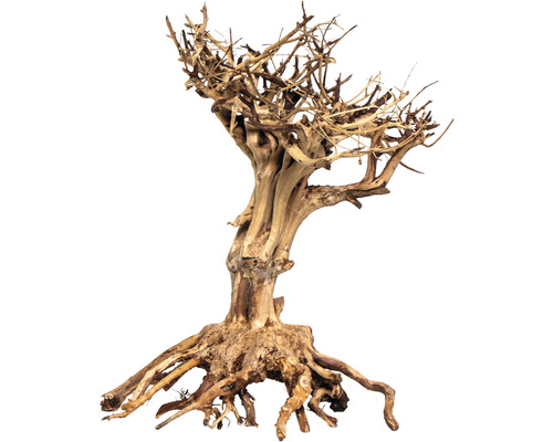 Aquariumdecoratie Mammoet Bonsai M 20 x 25 cm bruin