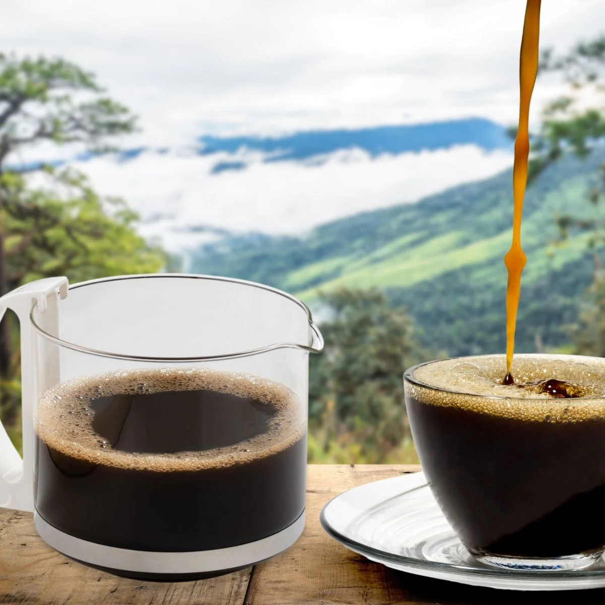 Verseuse à café pour cafetière Moulinex C99 Fackelmann