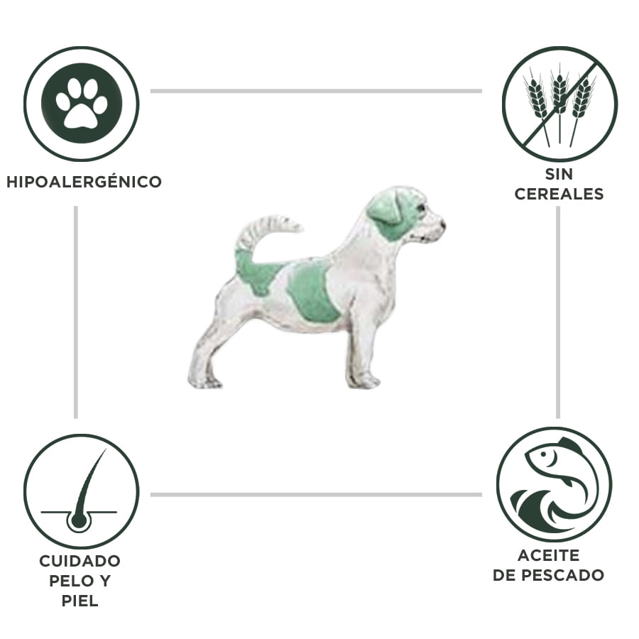 Ração hipoalergênica para cães adultos da Breeders Dietetic.
