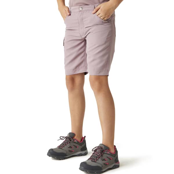 Short randonnée REGATTA SORCER SHORTS II HEATHER