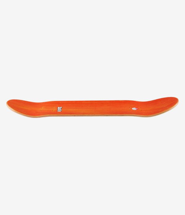 Baker Kader Ribbon Green Rainbow 8.125