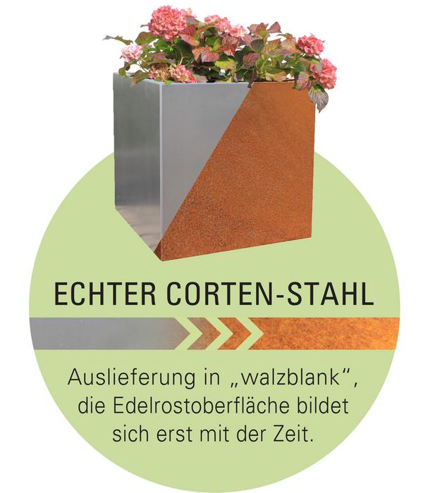 Palatino Cortenstahl-Pflanzrahmen Carlotta,