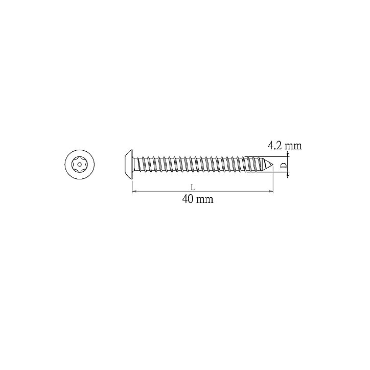 Vis de sécurité en acier inoxydable A2, 4,2x40 mm - 25 pièces