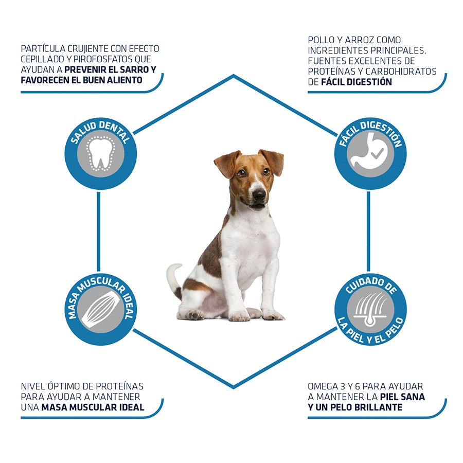 Ração Advance Active Defense Mini Adult para cães, sabor frango e arroz.