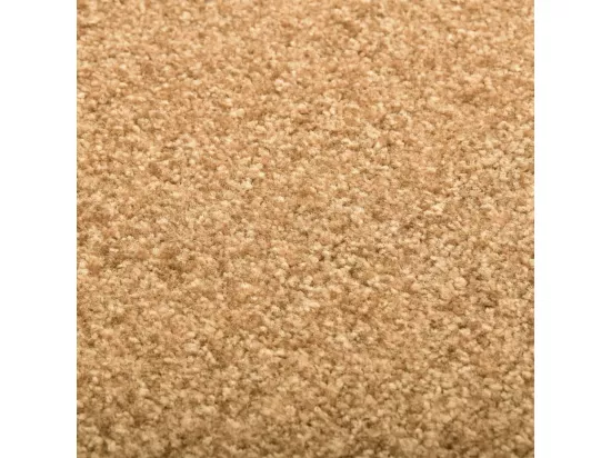 Paillasson lavable Crème 40x60 cm