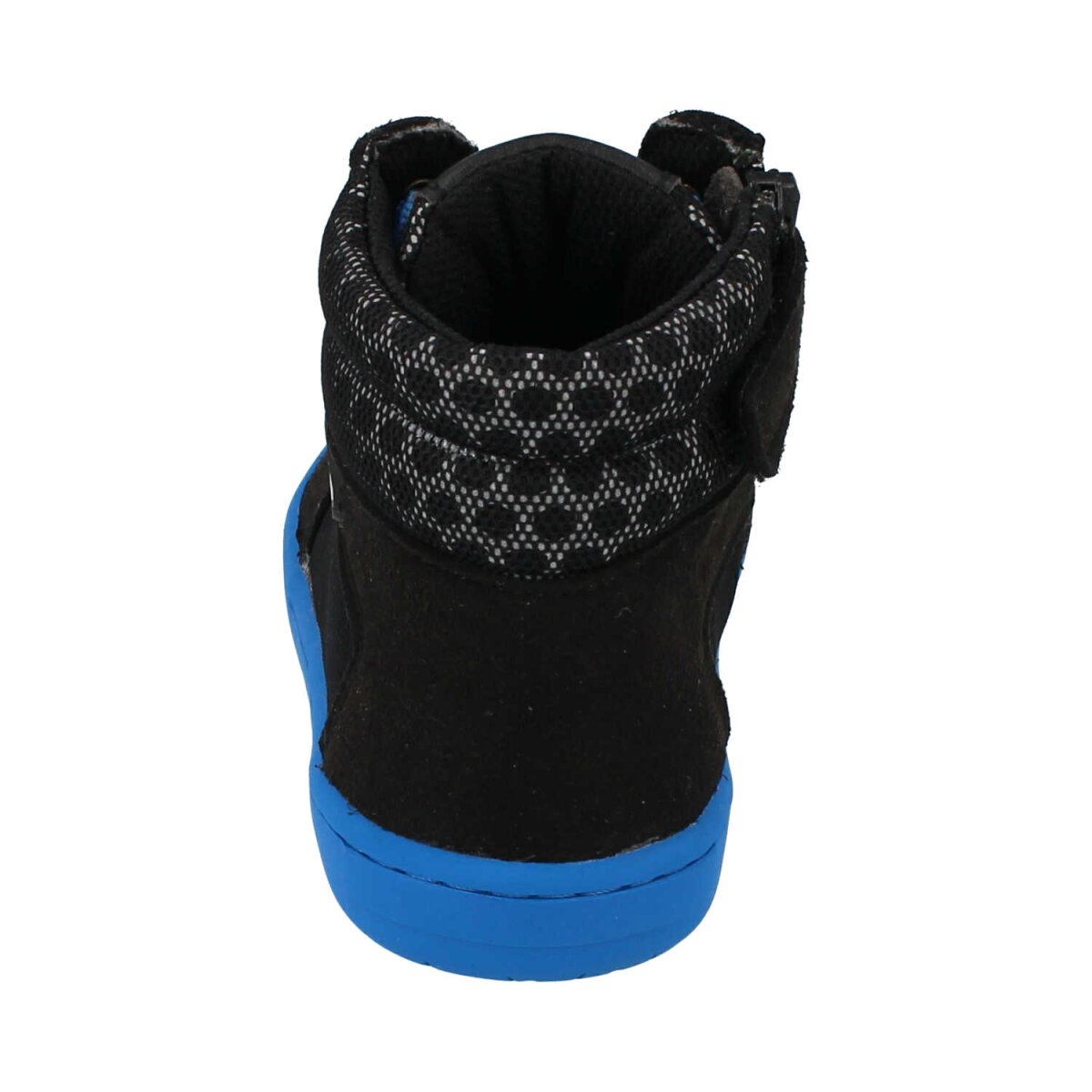 V202154-02 CHAMPI black/blue REFLECTOR zipp Weite/M