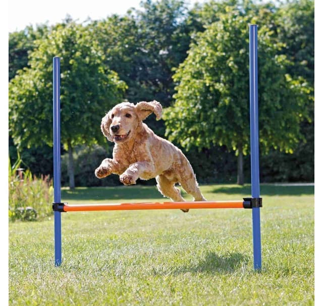 Hundeaktivitet agility hække, plastik, 123 × 115 cm, ø 3 cm, blå/orange