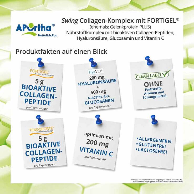 Collagen-Komplex mit Fortigel + Tendoforte Pulver, 340 g