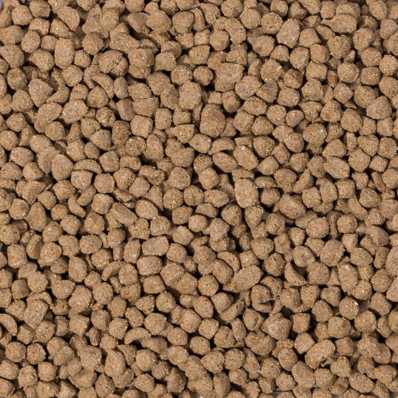 Alimento Beaphar Care+ para gerbos e ratos