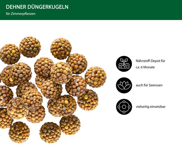 Dehner Düngerkugeln für Zimmerpflanzen, 25