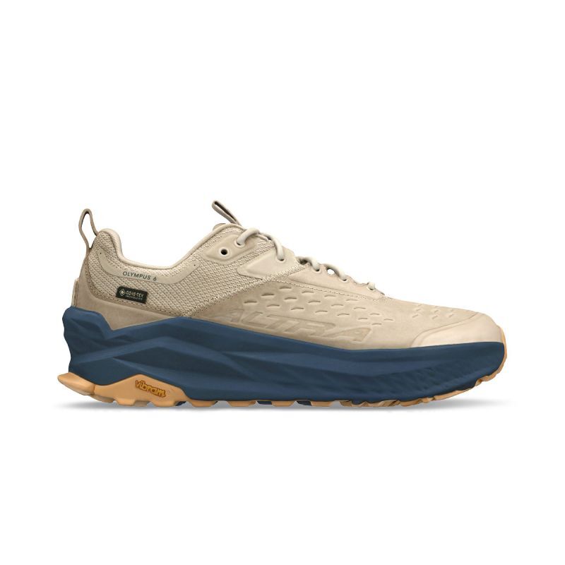 Olympus 6 Hike Low GTX - Chaussures randonnée homme