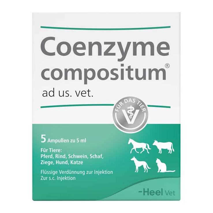 Coenzyme compositum® ad us. vet. Ampullen, 5X5 ml