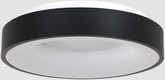 Plafondlamp 3086ZW Ringlede ⌀30  x H9 cm