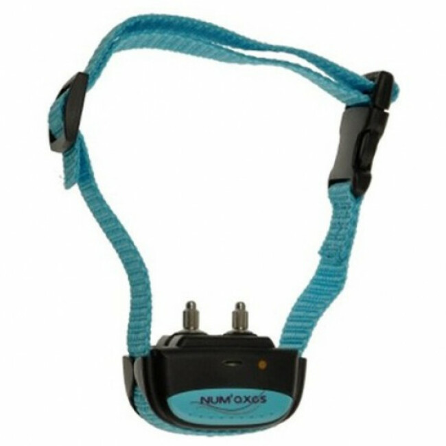 Collier anti aboiement Iki Pulse Numaxes pour chien