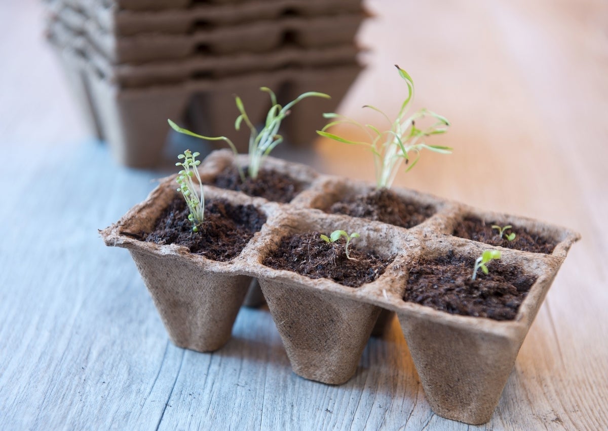 Nature kweekpottrays 5 x 5 x 5 cm 10 trays van 6 stuks