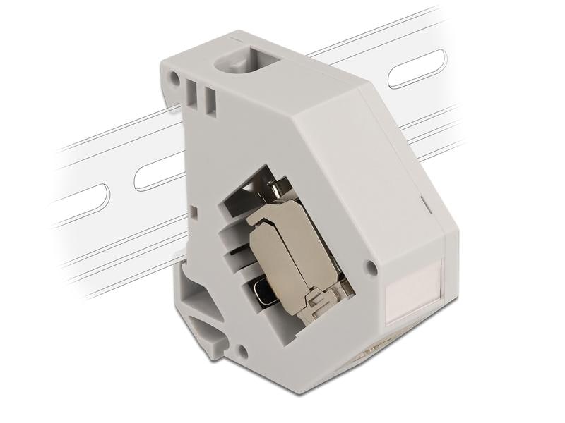 Delock Hutschienenhalter mit Keystone Modul RJ45 Buchse Cat Delock Hutschienenadapter mit Keystone Modul RJ45 Buchse Cat.6A LSA