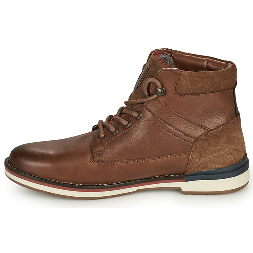 Redskins - ABELIA - Cognac