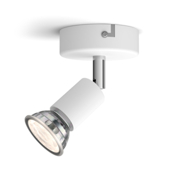 Philips Limbali opbouwspot wit 1x 50W