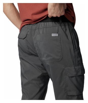 Pantalon de Randonnée Columbia Silver Ridge Gris