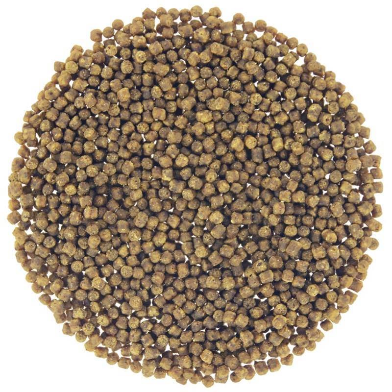 Pellet Cap River Extrudé