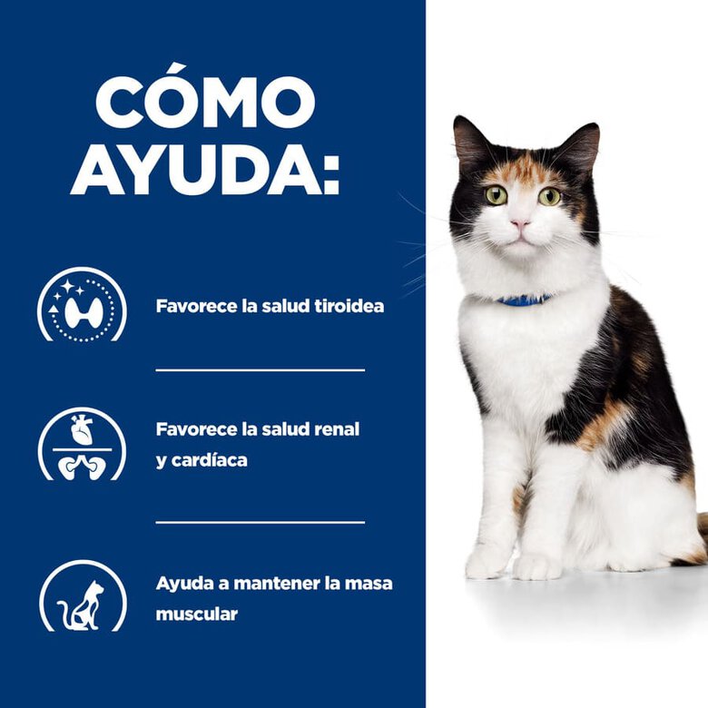 Ração Hill's Prescription Diet Thyroid Care para gatos (y/d)
