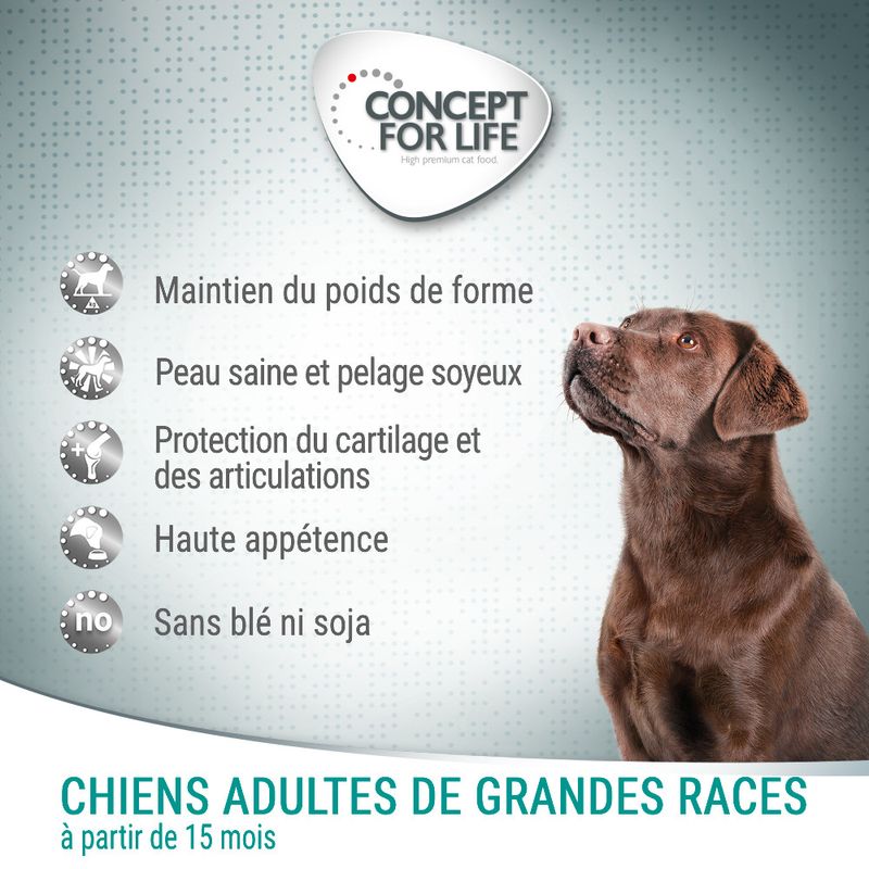 Concept for Life Large Adult