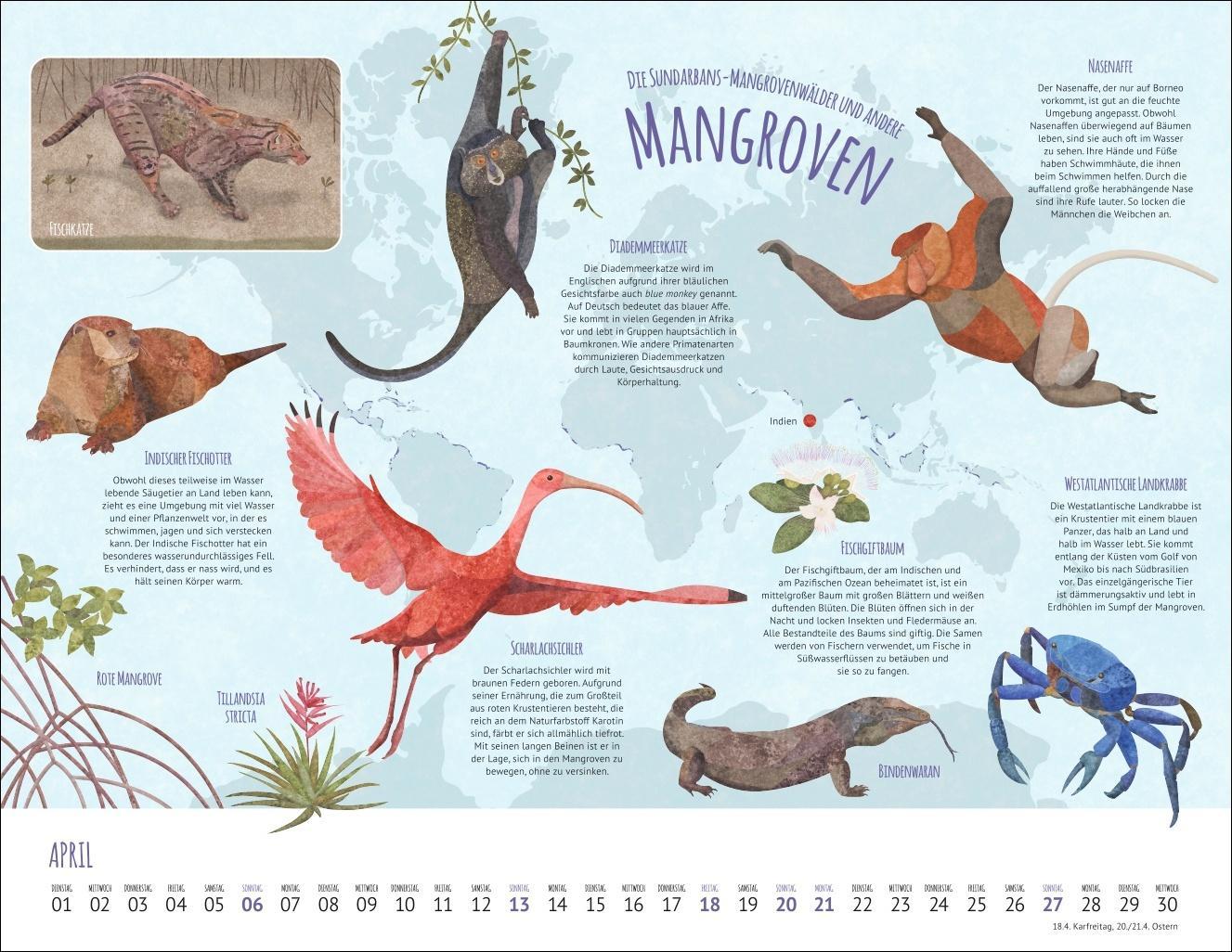 Wo Tiere und Pflanzen zu Hause sind Kalender 2025 - Biome der Welt