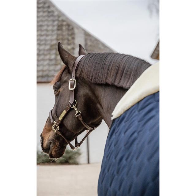 Staldeken Kentucky Comfort 200gr Donkerblauw