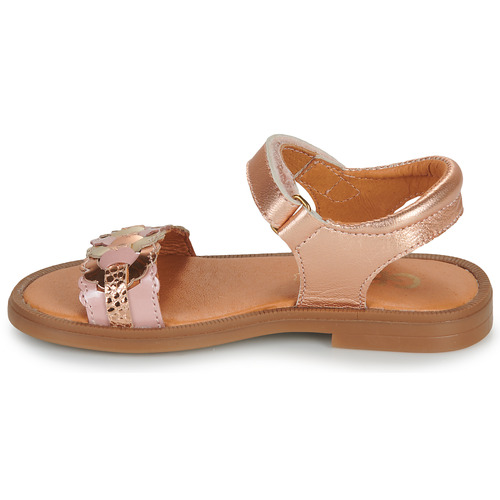 GBB - PRUNELLE - Rose