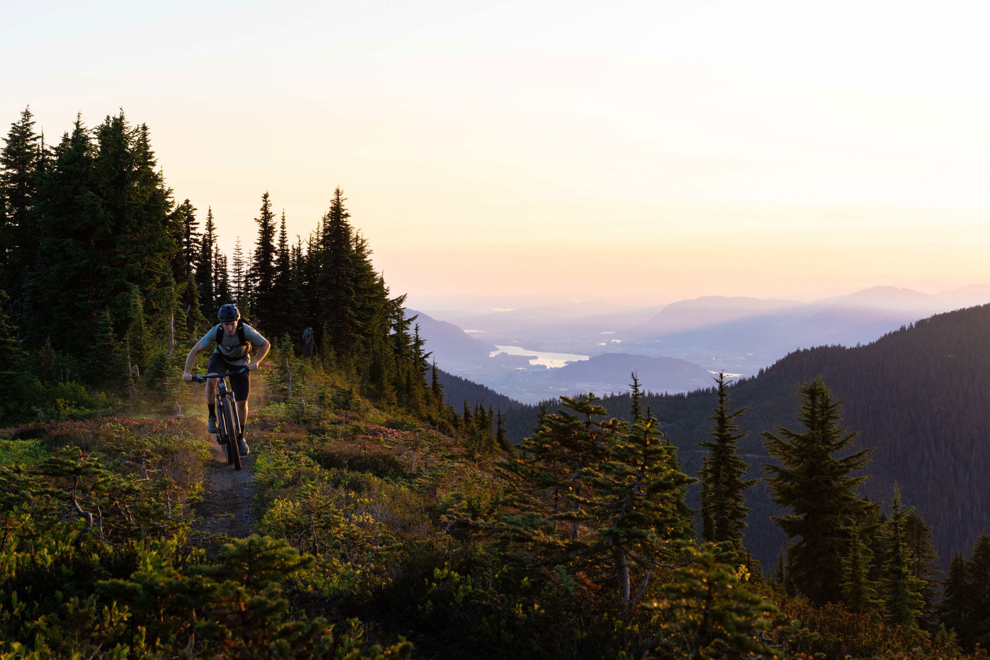 Rocky Mountain Element Alloy 50