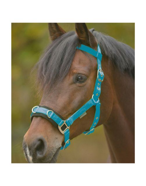Waldhausen Cavesson Economic - Longeerhalster Blauw - Paardenhalster