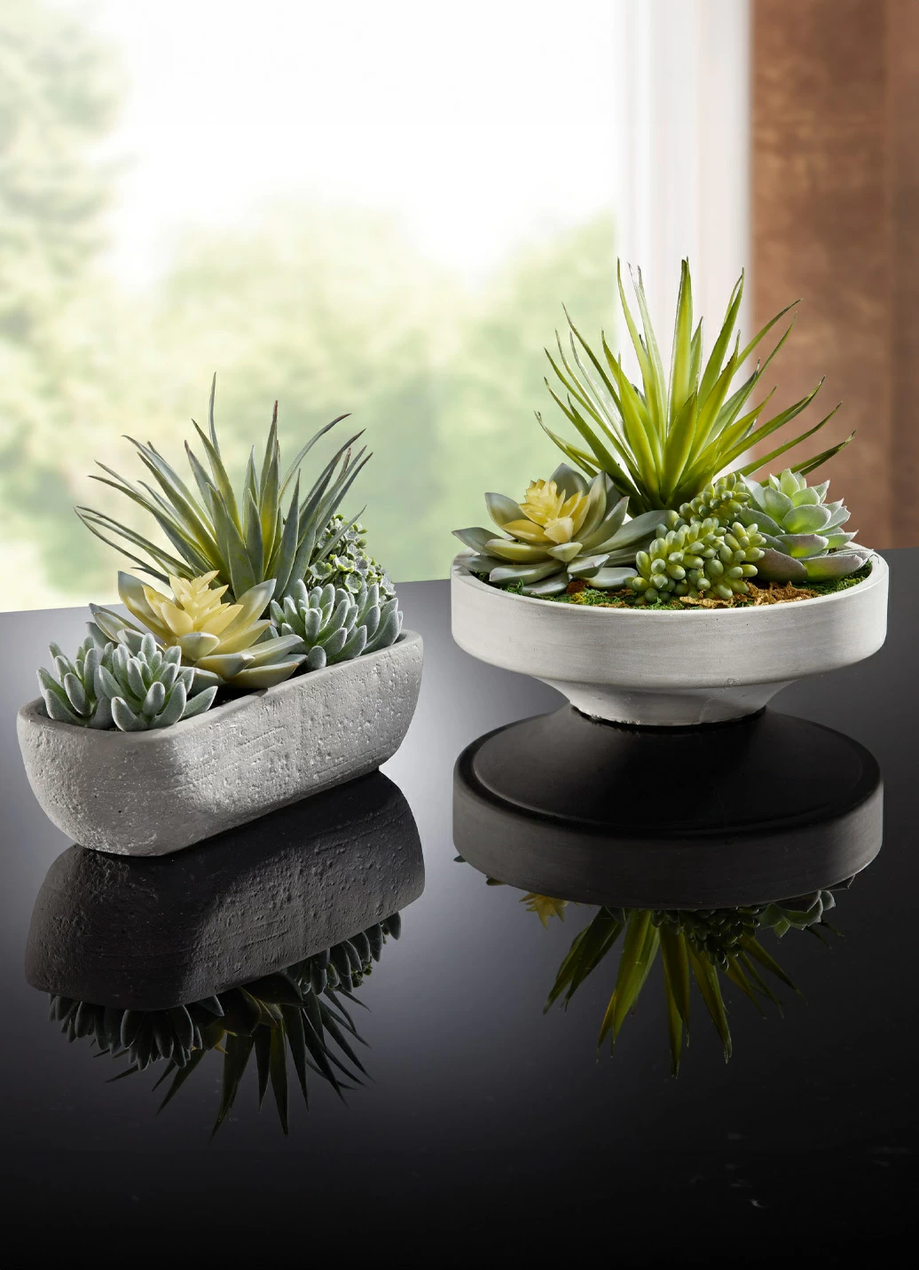 Sukkulenten-Arrangement in Schale aus Zement