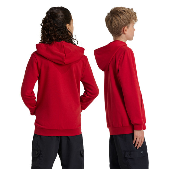 adidas Bayern München DNA Hoody Kids