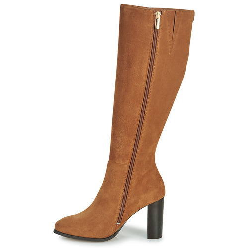 Fericelli - AMSONIA - Camel
