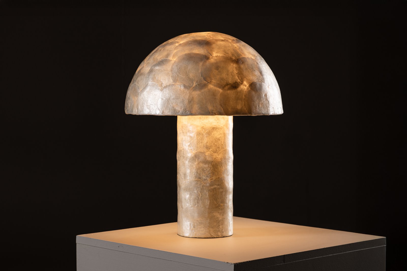 Lindon bordlampe Bordlampe laget av capiz skjell og polyresin. E27