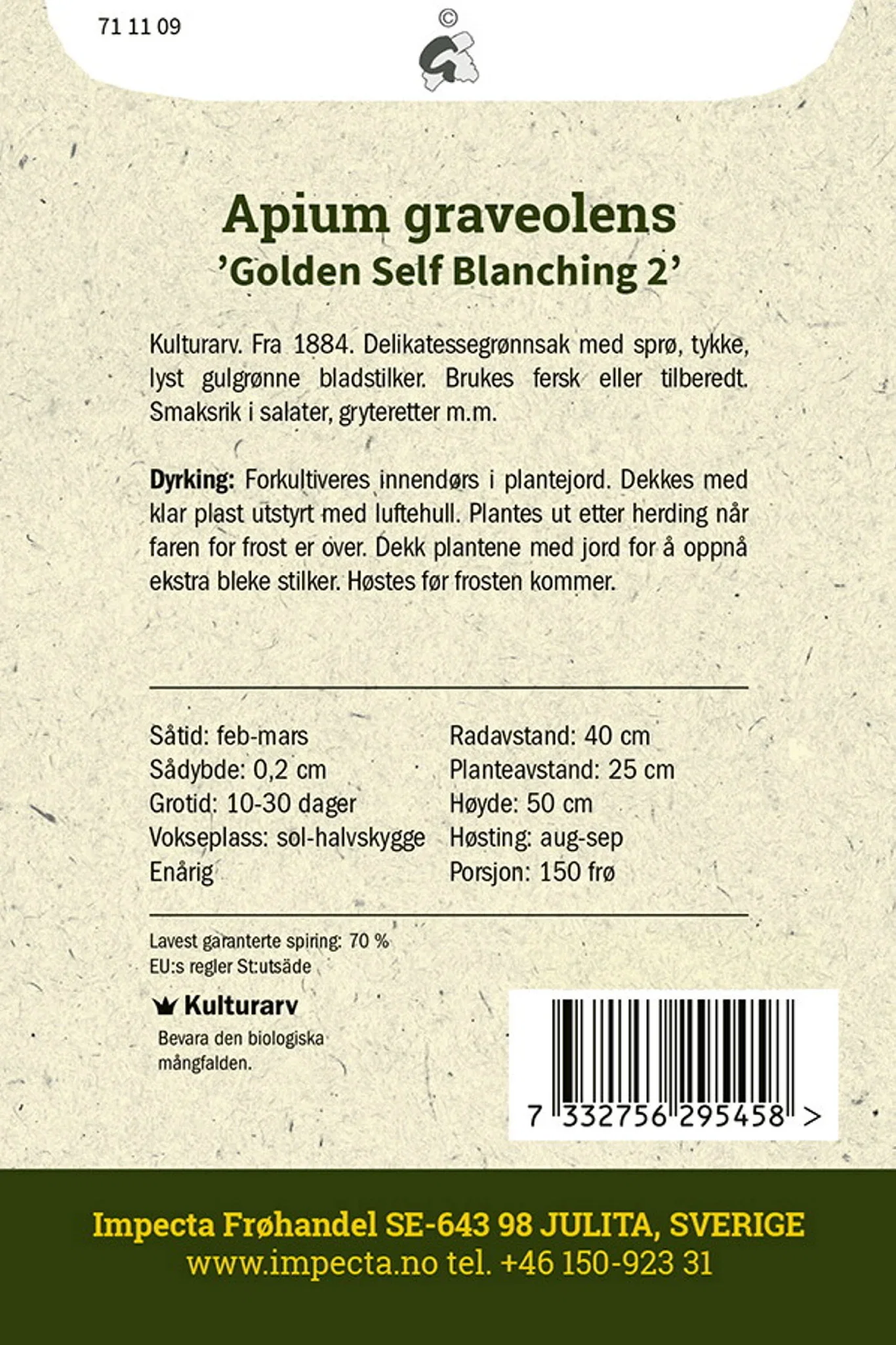 Apium graveolens 'Golden Self Blanching 2' Selleri 'Golden Self Blanching 2'