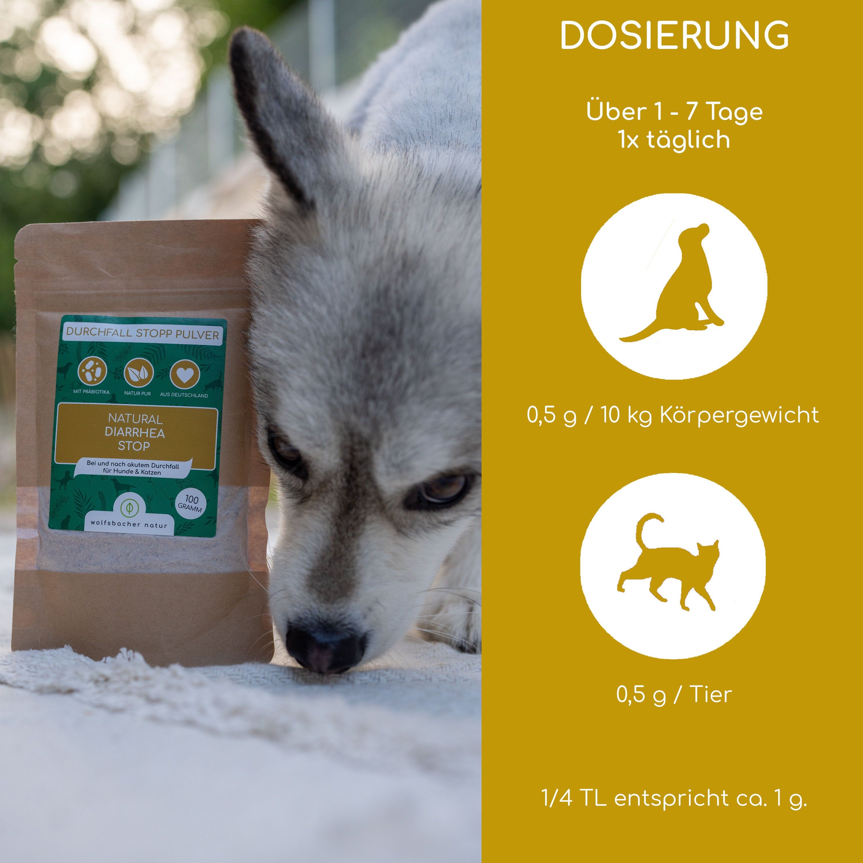 Wolfsbacher Natur Durchfall Stopp Pulver