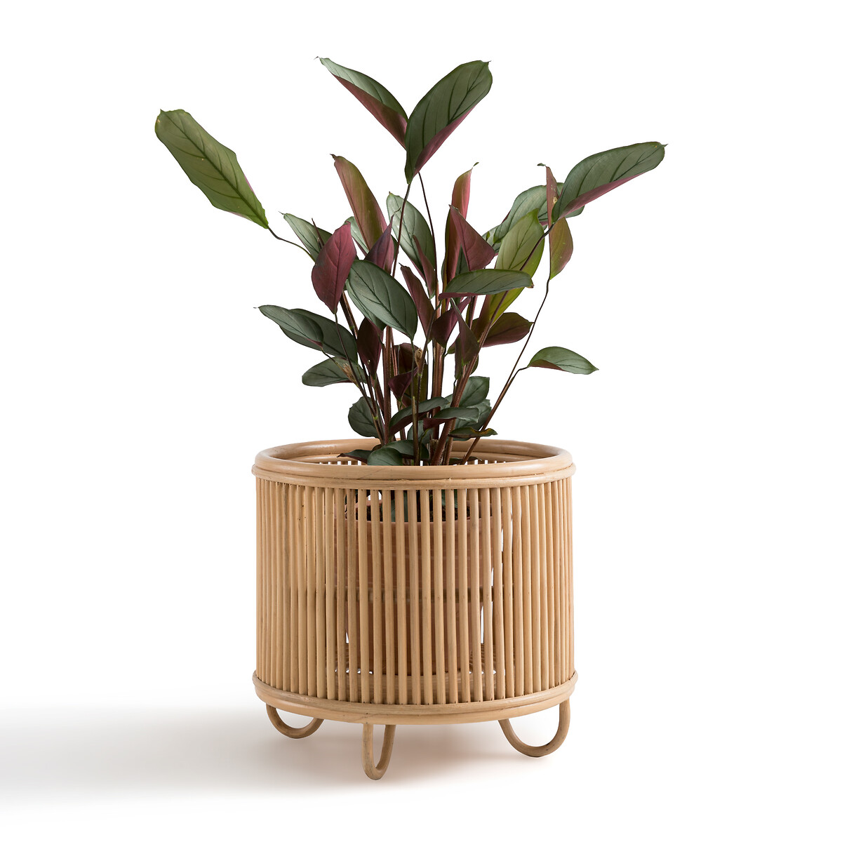 LA REDOUTE INTERIEURS<br>Vaso com pernas em rattan Ø32 cm, Malu