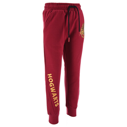TEAM HEROES  - JOGGING HARRY POTTER - Violet