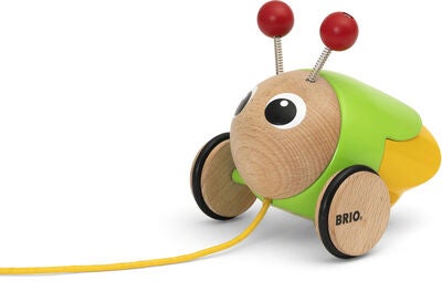 BRIO Play & Learn 30255 Ildflue