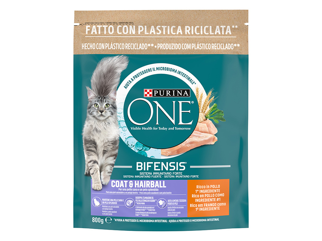 RAÇÃO PARA GATO PURINA ONE PELE E PÊLO 800G
