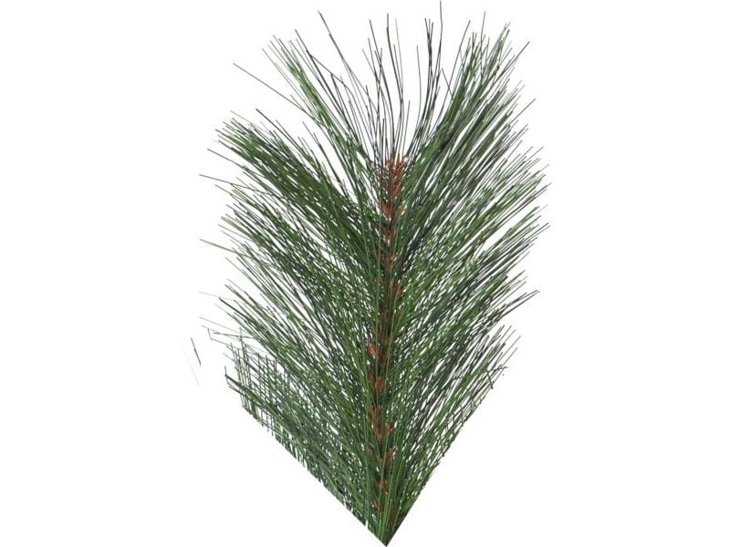 Star Trading Weihnachtsbaum Cembra, 2.4 m, Grün Weihnachtsbaum ohne Licht