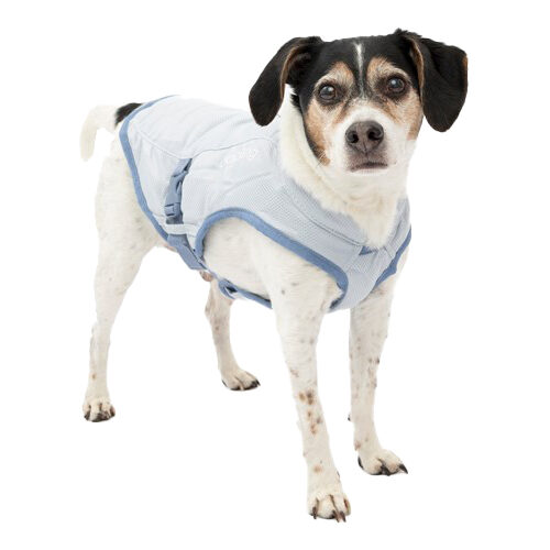 Kurgo Core Cooling Vest