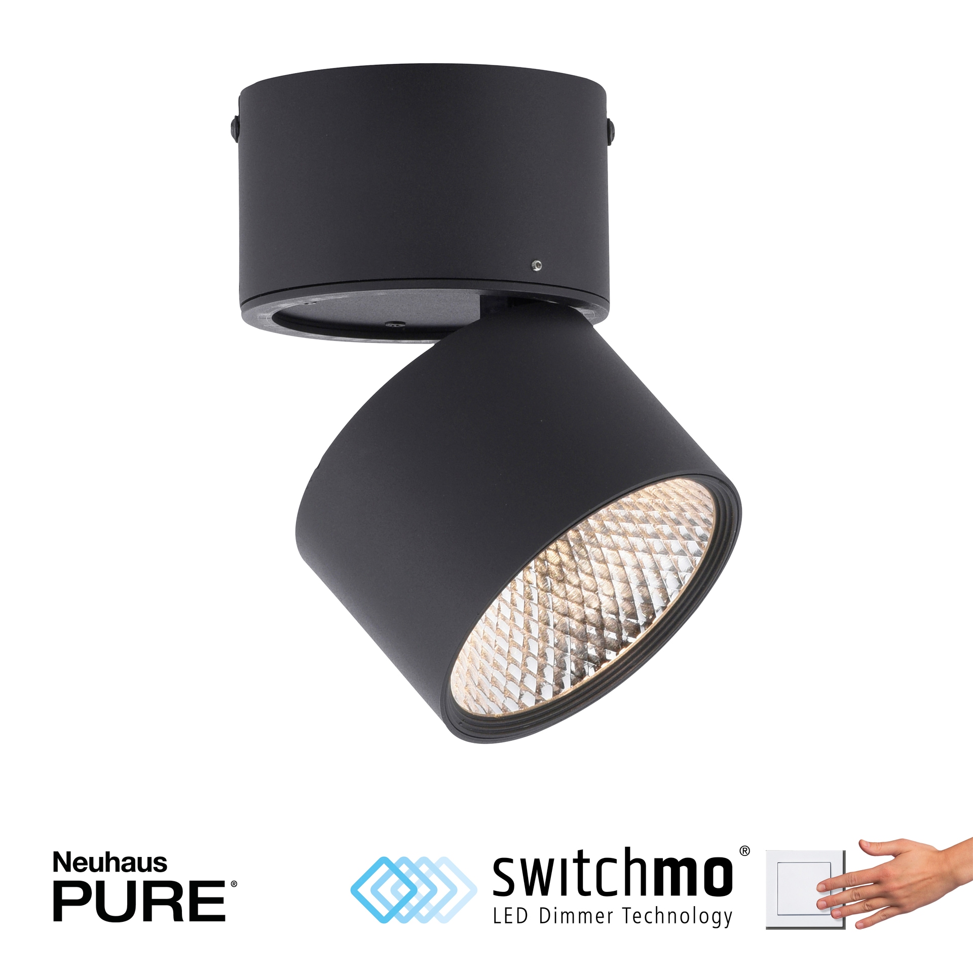 Paul Neuhaus LED Deckenlampe mit 1 Spots PURE-NOLA 15 cm schwarz