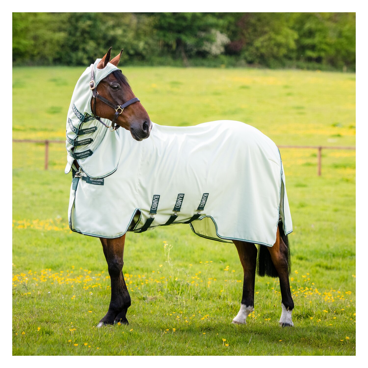 HORSEWARE Fliegendecke RAMBO Hoodie - green/sage